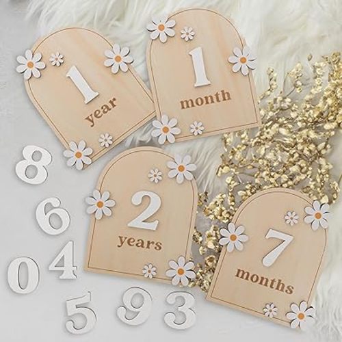 Beautiful Baby Monthly Milestone Cards - The Perfect Wooden Discs for Adorable Milestone Pictures of Your Newborn - 2X Reversible Arches Signs with Interchangeable Numbers Make a Great Shower Gift