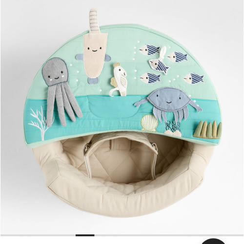 Aquatic Baby Activity Chair
