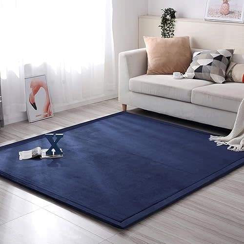 Coral Velvet Rug,Non-Slip Floor Carpet,Yoga Mat Exercise Pads,Non-Slip Living Room Floor Carpet-F-100 * 150cm
