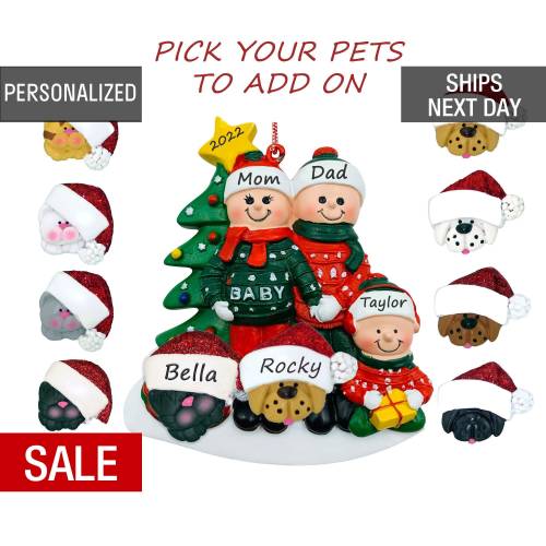 Personalized Expecting Family of 3 Christmas Ornament with Pets; Dog and Cat