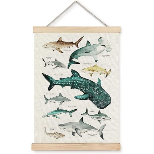 Supwhd Shark Wall Decor, Shark Posters with Wooden Frames, Ocean Animal Poster Hanger Frame, Sharks Nautical Wall Hanging Banner Decor for Nursery Classroom Coastal House Beachy Room, 12x16
