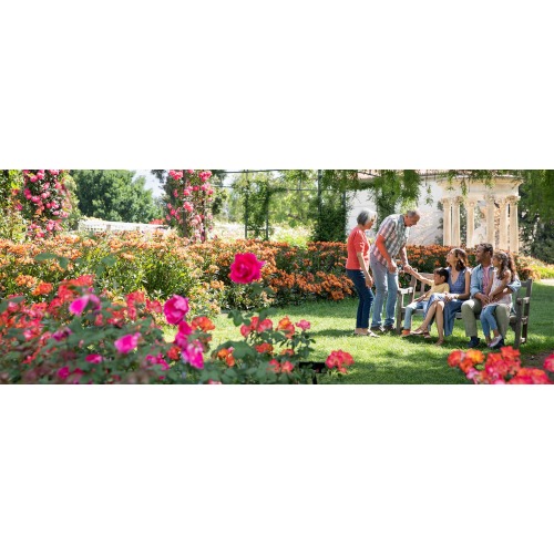 Membership | The Huntington