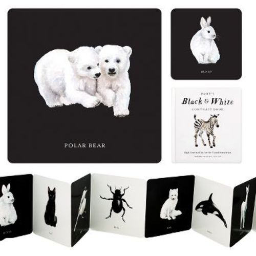 Baby's Black and White Contrast Book - (Tabitha Paige Children's Book) by Tabitha Paige (Board Book)