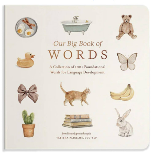Our Big Book of First Words: A Collection of 100+ Foundational Words for Language Development (Our Little Adventures Series)