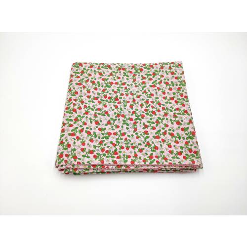 Liberty baby blanket - Strawberries - Pink and Blue