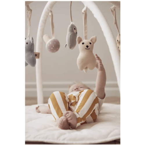 Animal Playmat Accessories - Set of 5