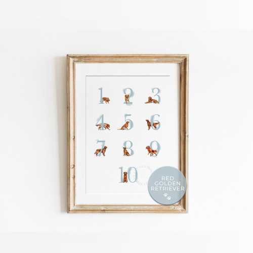 Red Golden Retriever Number Poster Blue | Dog 1–10 123 Print | Puppy Counting Wall Art | Baby Boy Nursery Decor | Kids Room Digital Download