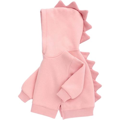 famuka Little Kids Dinosaur Hoodie Toddler Boy Girl Sweatshirt Unisex Casual Tops
