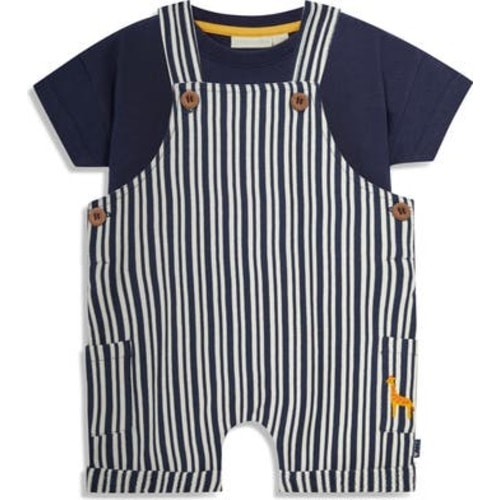 Cotton T-Shirt & Stripe Overalls Set, 3-6M