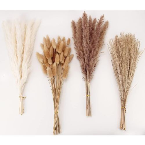 Amazon.com: Dried Pampas Grass Decor, 100 Stems Pampas Grass Contains Bunny Tails Dried Flowers, Reed Grass Bouquet for Wedding Boho Flowers Home Table Decor, Rustic Farmhouse Party (17", White and Brown) : Home & Kitchen