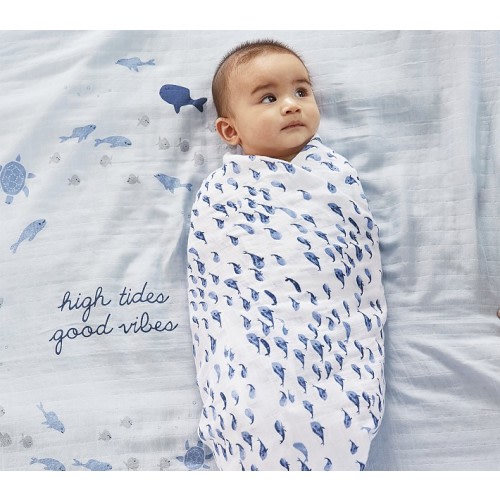 Jack Nautical Organic Muslin Swaddle Set