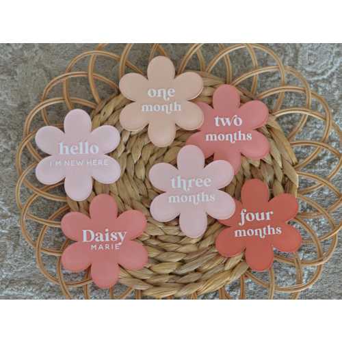 Retro Daisy 5" Monthly Milestone Markers  | Name Plate, Hello World, Bump Update - Acrylic Discs Baby Girl Pink, Baby's First Year, Gift