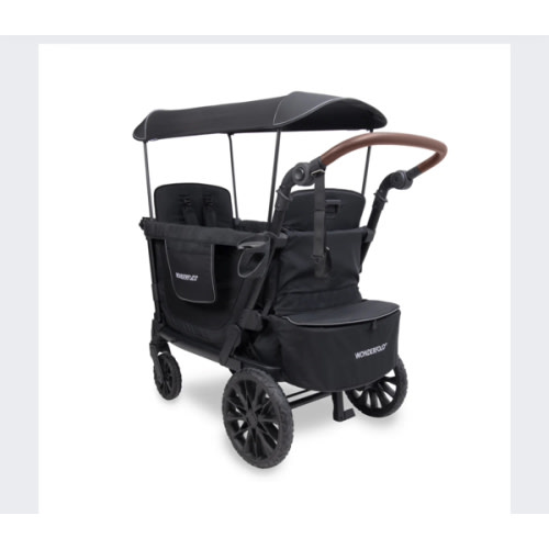 L2 Double Stroller Wagon (2 Seater)