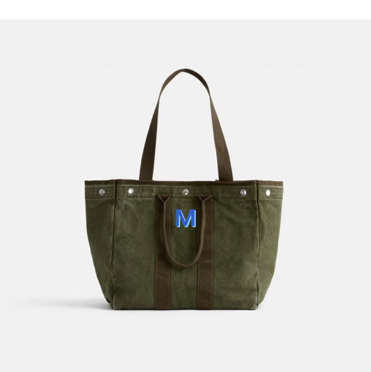 Painted Perfect Weekday Tote – Alex Mill