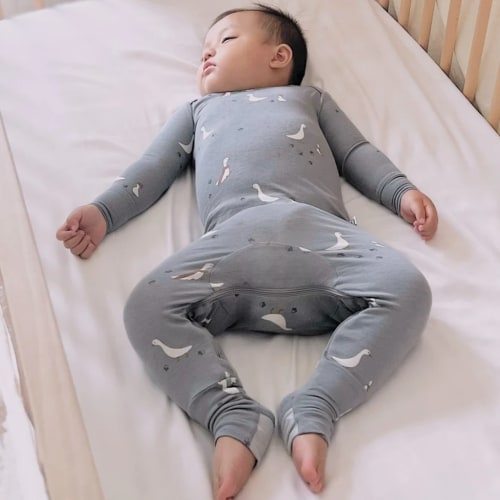 Convertible Pajamas- Chilly Goose