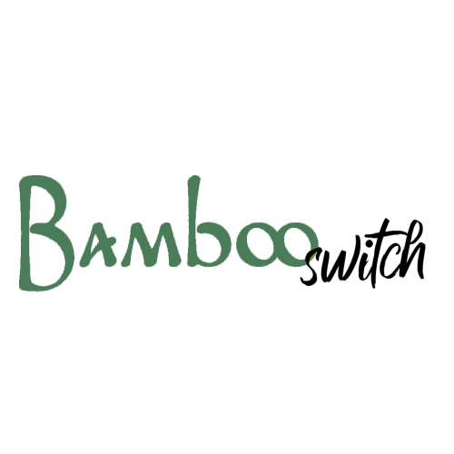 Soft Bamboo Baby Hair Brush | Bamboo Switch®