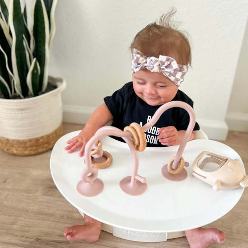 On-The-Go Suction Toy – Calla and Friends