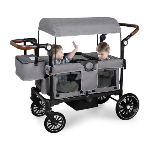 AILEEKISS Wagon Stroller for 2 Toddler 6 Months+, Collapsible Stroller Wagon with Canopy, Grey