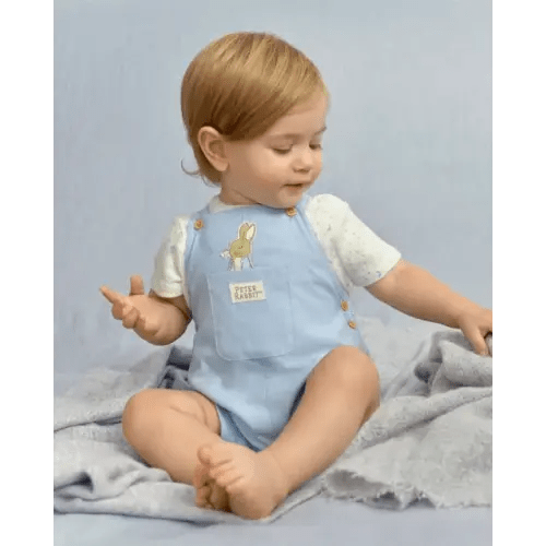 Baby Boys Peter Rabbit™ Overalls - Multi
