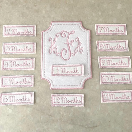 Custom Embroidered Baby Milestone Plaque, Monogram Monthly Cards, Pink White Fabric
