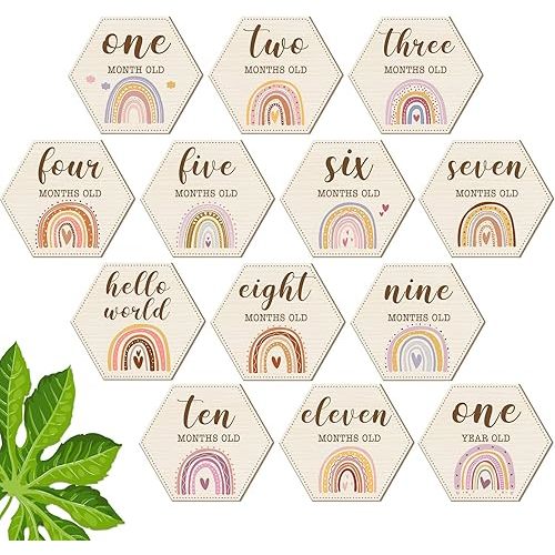 Amyhill 13 Pcs Wooden Baby Monthly Milestone Cards Signs Double Sided Milestone Discs Baby Shower Boho Photo Props Gifts Birth Announcement Signs Pregnancy Journey Growth Marker(Rainbow)
