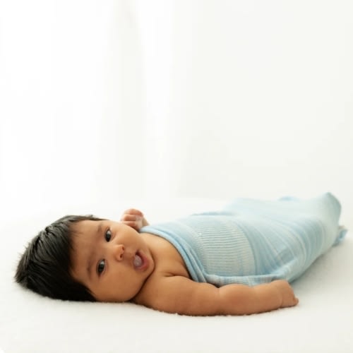 Blue Swaddle Sleep Sack – Swaddelini