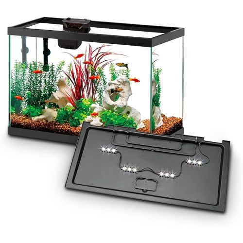 Aqueon Aquarium Starter Kit with Smart Clean Filtration and LED Lighting, Freshwater and Saltwater Fish, 20-Gallon