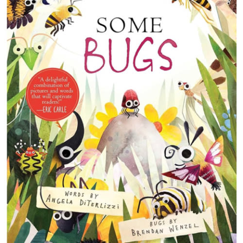 Some Bugs