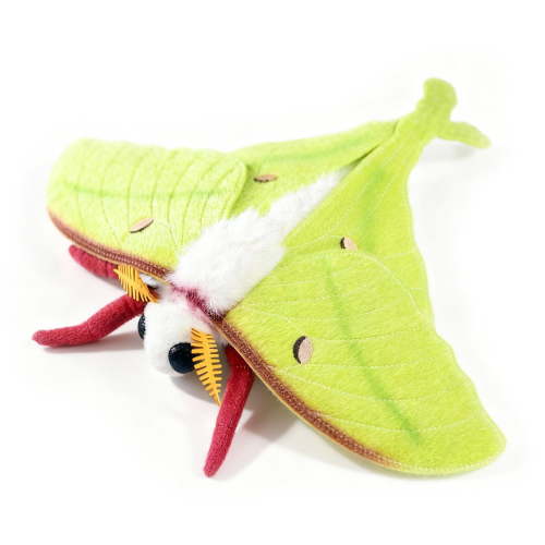PuffPurrs Chinese Luna Moth Plush – Lifelike 16in Green Silk Moth Toy, Realistic Butterfly Plush Gift for Nature & Science Lovers