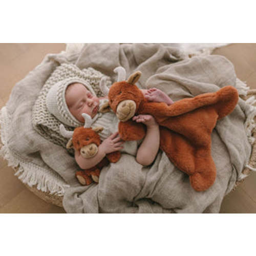 Pixie the Bunny Pink Rattle - Nana Huchy