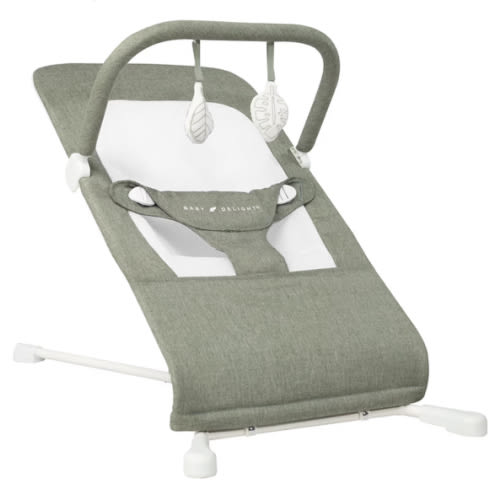 Baby Delight Highland Baby Bouncer | Infant | 0 – 6 Months | 3-Position Recline | Sage Tweed