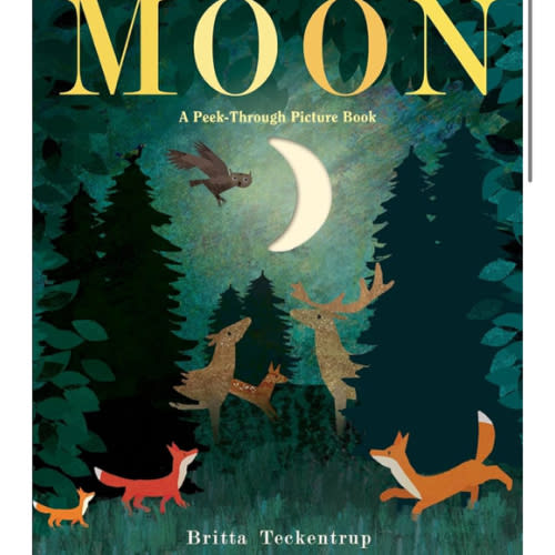 Moon: A Peek-Through Picture Book