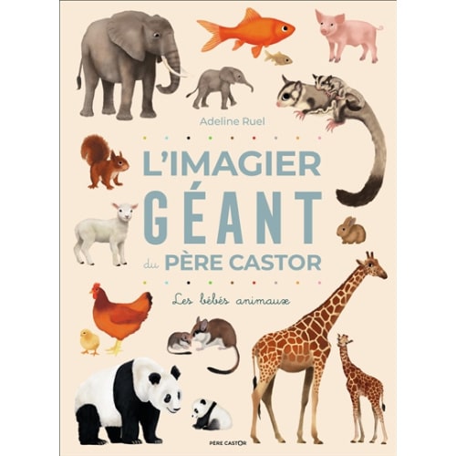 L'imagier géant du Père Castor : les bébés animaux (French edition) - Adeline Ruel - 2 million+ books