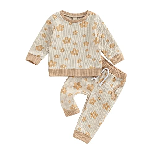 Toddler Baby Girl Fall Winter Clothes Newborn Infant Floral Pullover Sweatshirt T-Shirts+Pants 3PCS Outfits Set