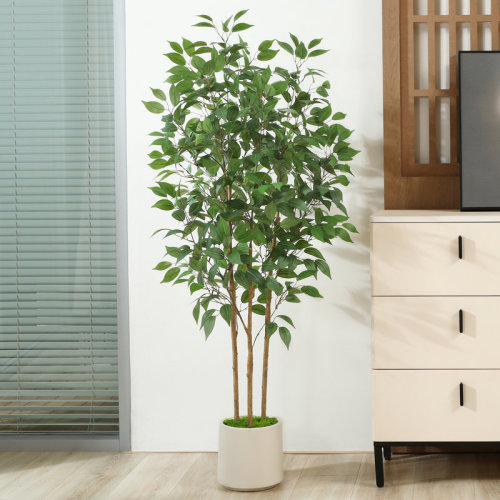 Primrue Adcock Faux Ficus Tree in Pot with White Planter, Faux Green Ficus Plant, Fake Tree for Home Décor & Reviews | Wayfair