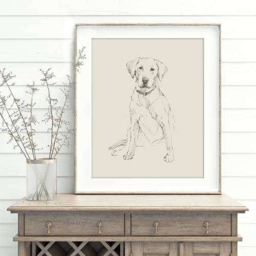 Labrador Retriever Art Print by Ethan Harper. Yellow Lab, Black Lab, Chocolate Lab Drawing Wall Decor.