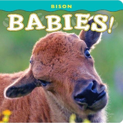 Bison Babies! Board book – Illustrated, January 1, 2012