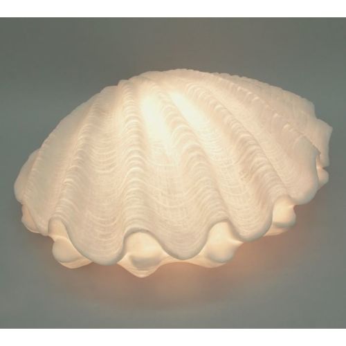 Decorative Lit Frosted Glass Clam