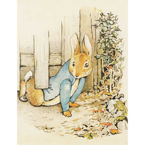Peter Slips Under the Fence by Beatrix Potter | Fine Art Print