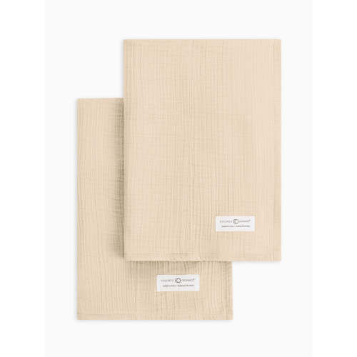 Muslin Burp Cloths 2 Pack