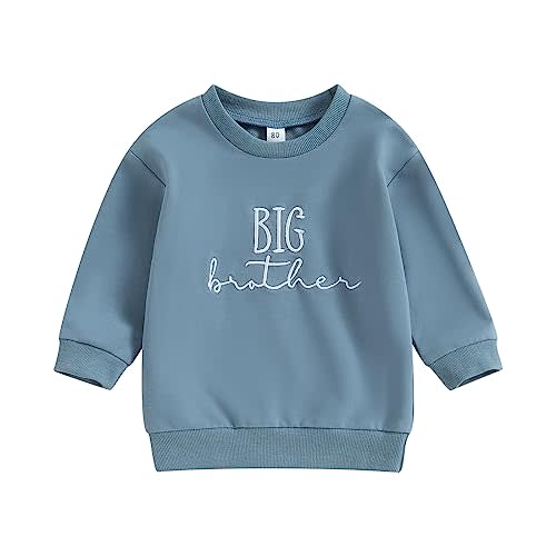 Frietlebird Big Brother Little Brother Matching Outfits Toddler Baby Boy Crewneck Sweatshirt Pullover Shirt Fall Clothes