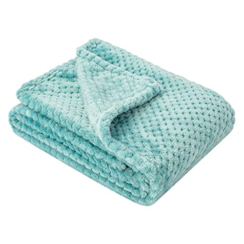 Fuzzy Blanket or Fluffy Blanket for Baby, Soft Warm Cozy Coral Fleece Toddler, Infant or Newborn Receiving Blanket for Crib, Stroller, Travel, Decorative (28Wx40L, XS-Blue Bell)
