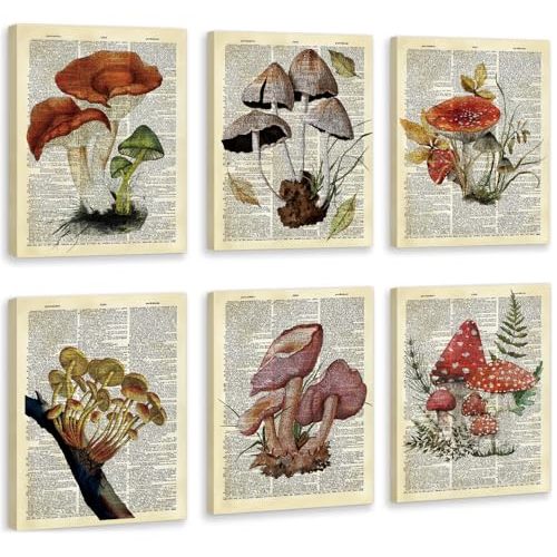 CHDITB Mushroom Wall Art, Mushrooms Dictionary Framed Canvas Wall Art Set, Nature Mushroom Wall Decor, Vintage Fungus Wall Painting, Retro Aesthetic Art Prints For Living Room Bedroom Decor(8X10 Inch)