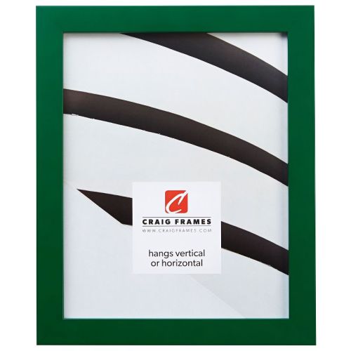 Confetti Green 8x10 Inch Picture Frame