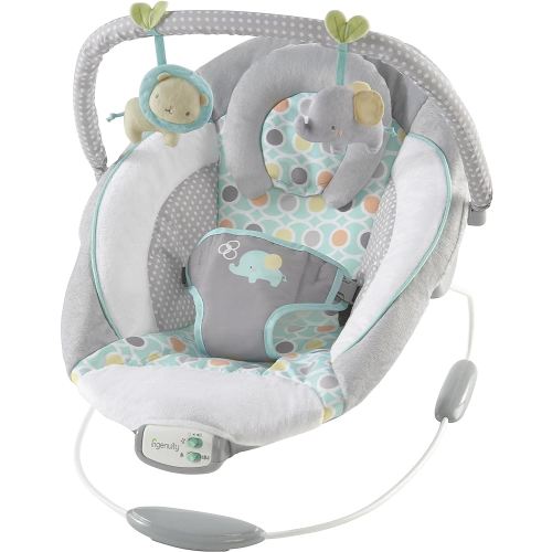 Ingenuity Soothing Baby Bouncer Infant Seat with Vibrations, -Toy Bar & Sounds, 0-6 Months Up to 20 lbs (Morrison)