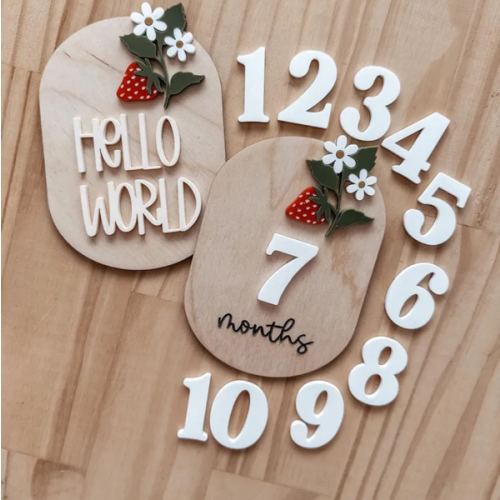 Milestone Sign for Baby | Baby Girl Gift | Monthly Baby Picture | Strawberry Baby Plaque | Daisy and Strawberry baby sign | Hospital Sign