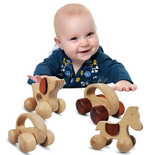 TEKOR Wooden Animal Push Toy with Wheels | Baby & Toddler | Grasping & Teething | Natural Organic Beech Wood | Develops Fine Motor Skill | Coordination | Smooth No Rough Edges | (Package of 4 Toys)