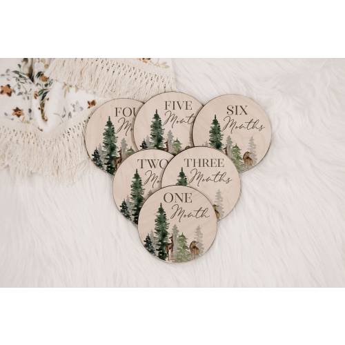 Woodland Forest Baby Milestone Markers Month to Month Engraved Wood Cutout Wood Baby Milestone Monthly Milestone Picture Prop Baby Gift