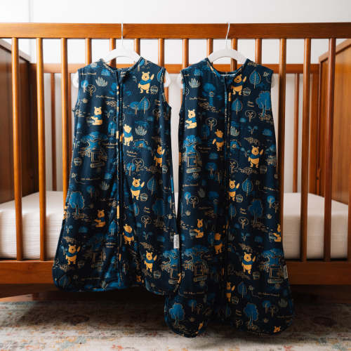 Disney Sleep Bag - Winnie the Pooh – Milk Snob