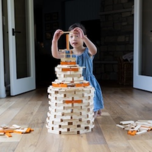 Timber Planks 300 Piece Set - Best for Ages 3 to 8